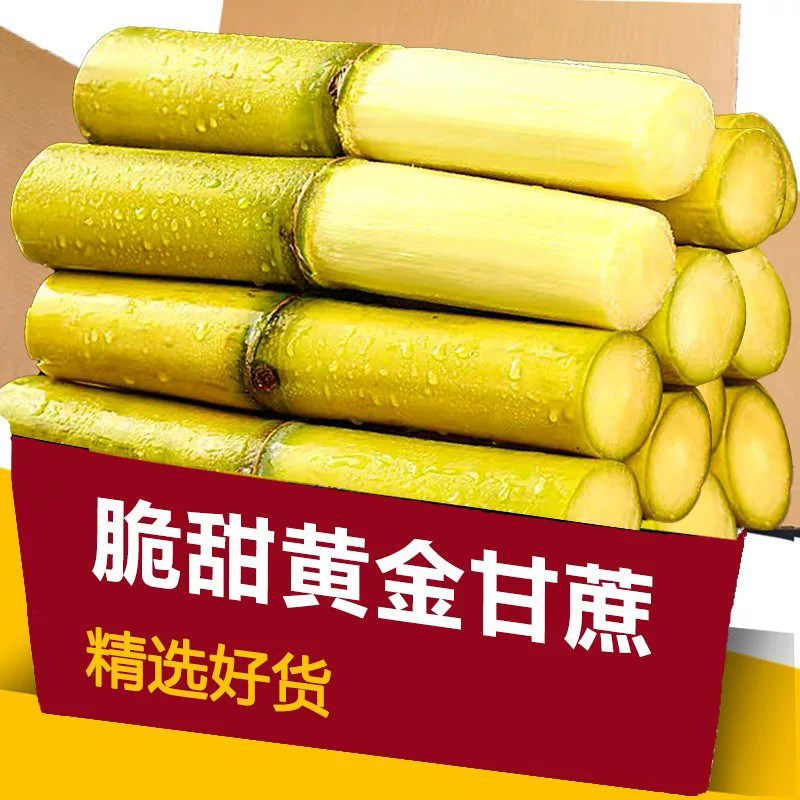 云南黄金甘蔗正宗现砍新鲜水果当季特产黄皮黄金黑皮果蔗手撕水果