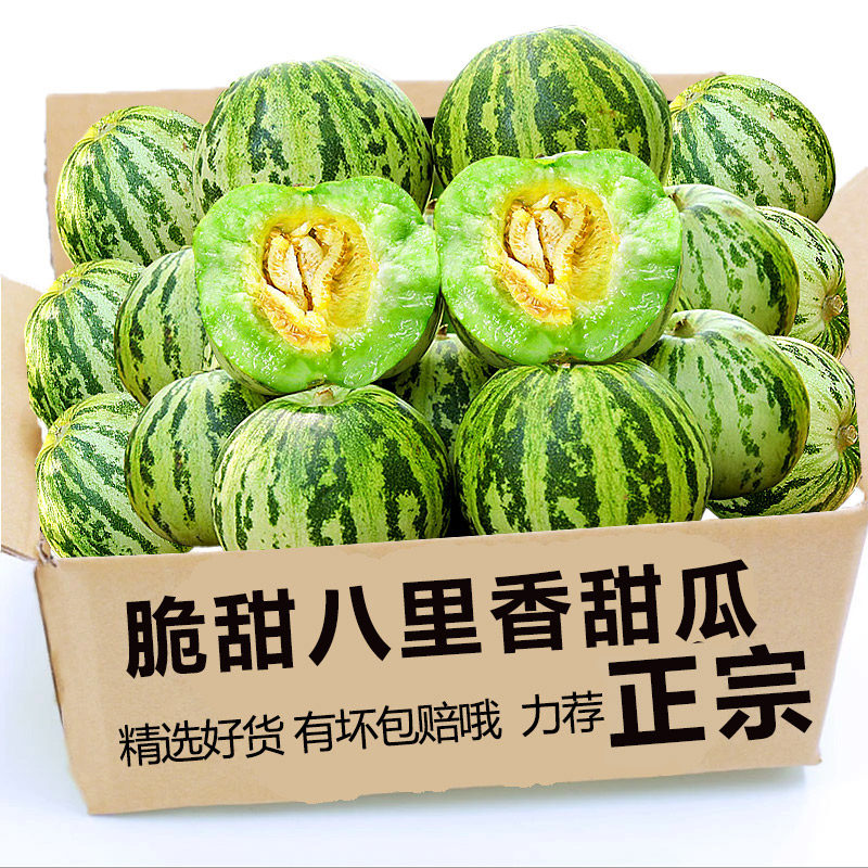 山东花蕾香瓜八里香甜香瓜新开园比京密白糖罐甜新鲜水果现摘脆甜