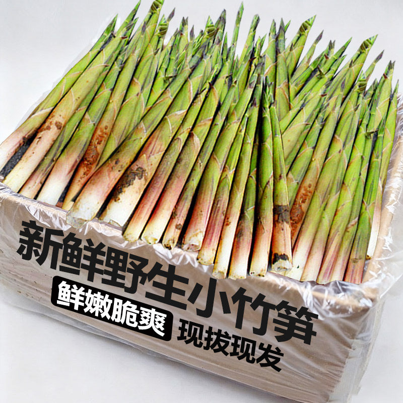 现摘野生小竹笋新鲜带壳手剥春笋野生现挖竹笋蔬菜整箱脆嫩小笋尖