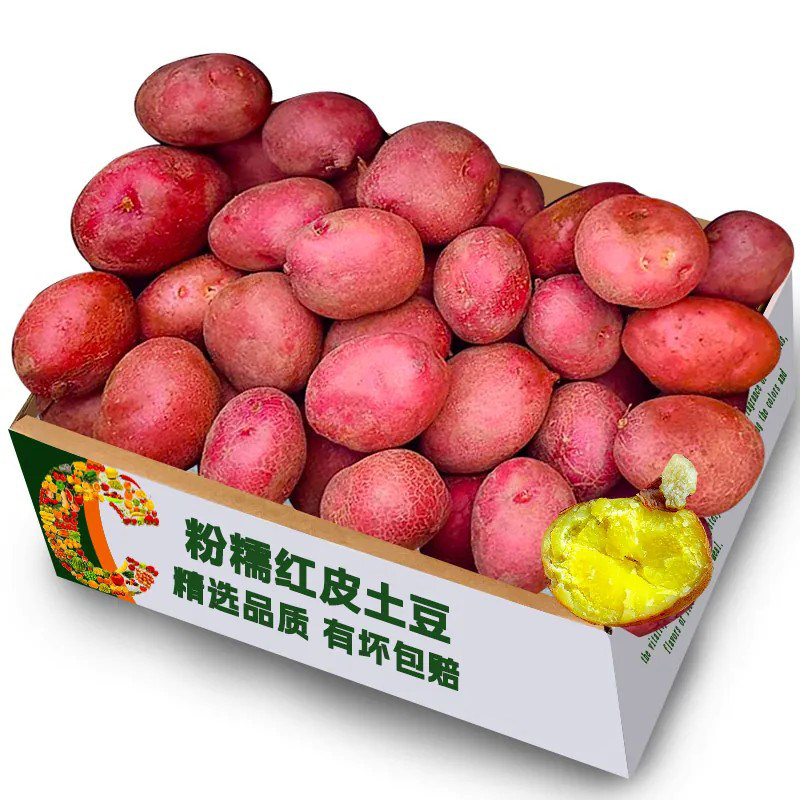 云南红皮黄心土豆现挖3斤图片