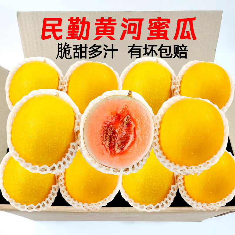 甘肃民勤蜜瓜当季新鲜水果现摘哈纹黄金网瓜密瓜整箱甜包邮