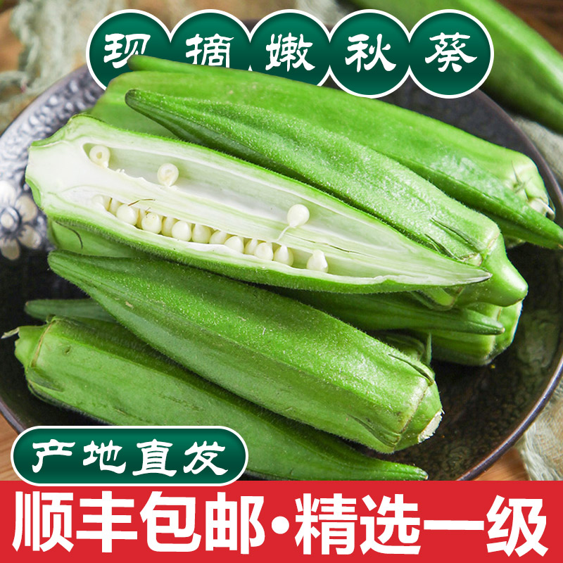 顺丰包邮，新鲜脆嫩无丝秋葵