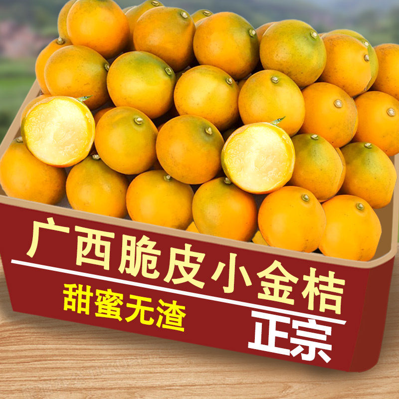 脆皮金桔广西新鲜现摘纯甜无酸当季水果蜜金柑桔纯甜孕妇产地直发