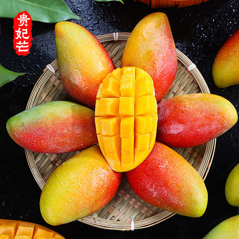 现摘贵妃芒10斤芒果当季新鲜水果树上熟整箱包邮热带红金龙甜心芒