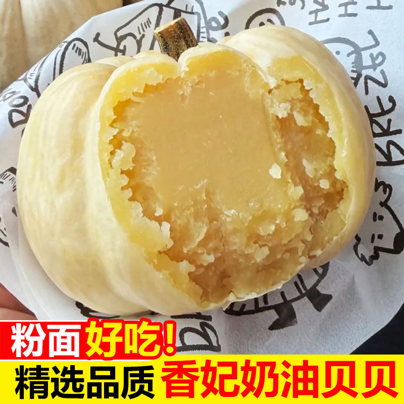 正宗香妃奶油贝贝南瓜精选高端白雪小南瓜老南瓜惠和软糯甜白贝贝