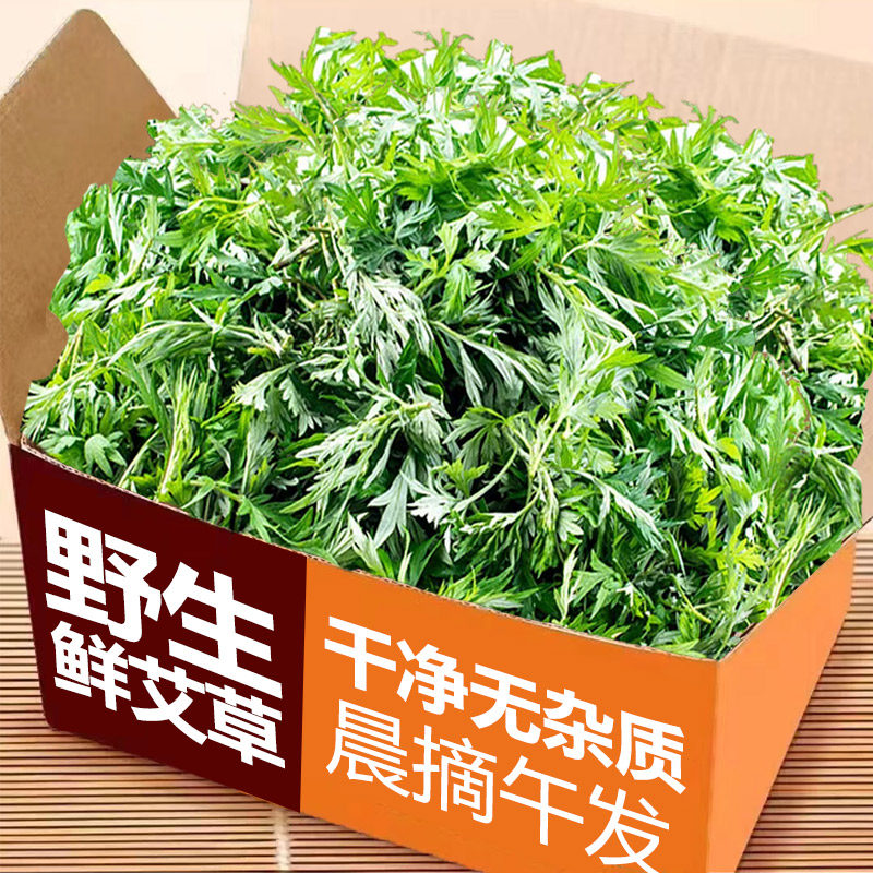 艾草新鲜现摘食用应当季生艾叶糍粑野生食用清明草青团艾叶草