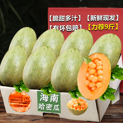 正宗海南哈密瓜新鲜一箱当季水果整箱现摘网纹瓜老汉瓜西州蜜包邮