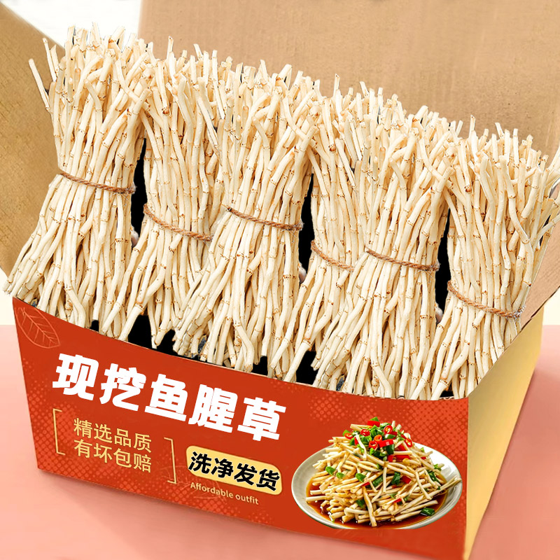力荐5斤鱼腥草新鲜现挖