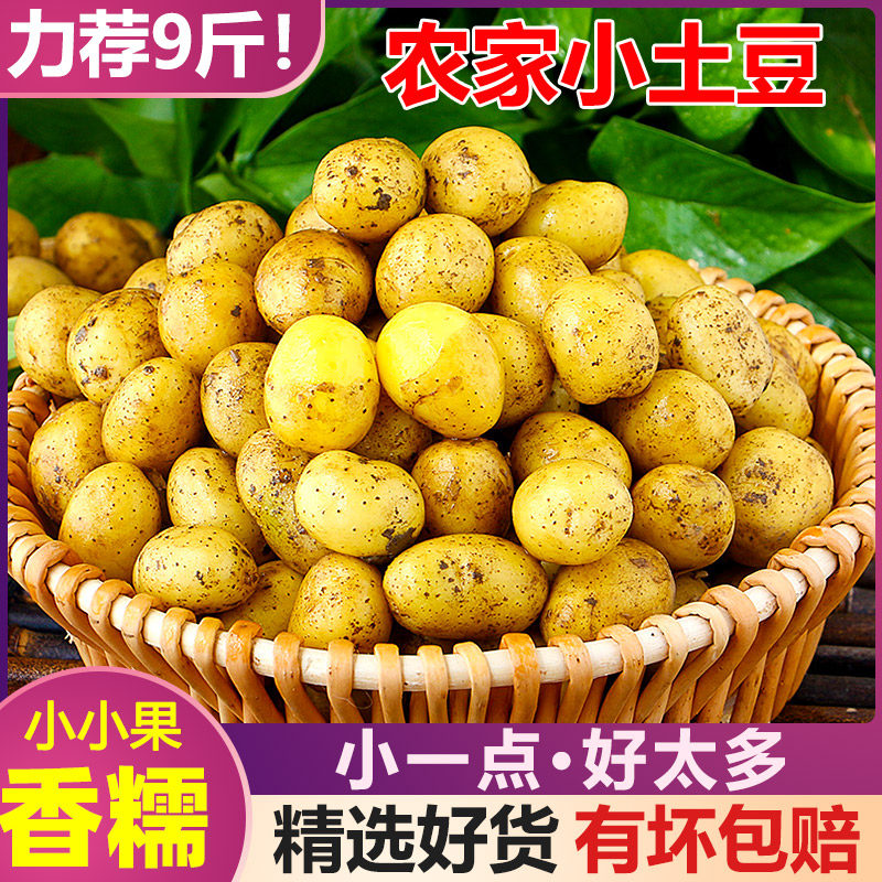 恩施高山现挖新鲜土豆应季小土豆迷你蔬菜洋芋黄心非东北云南红皮属于什么档次？