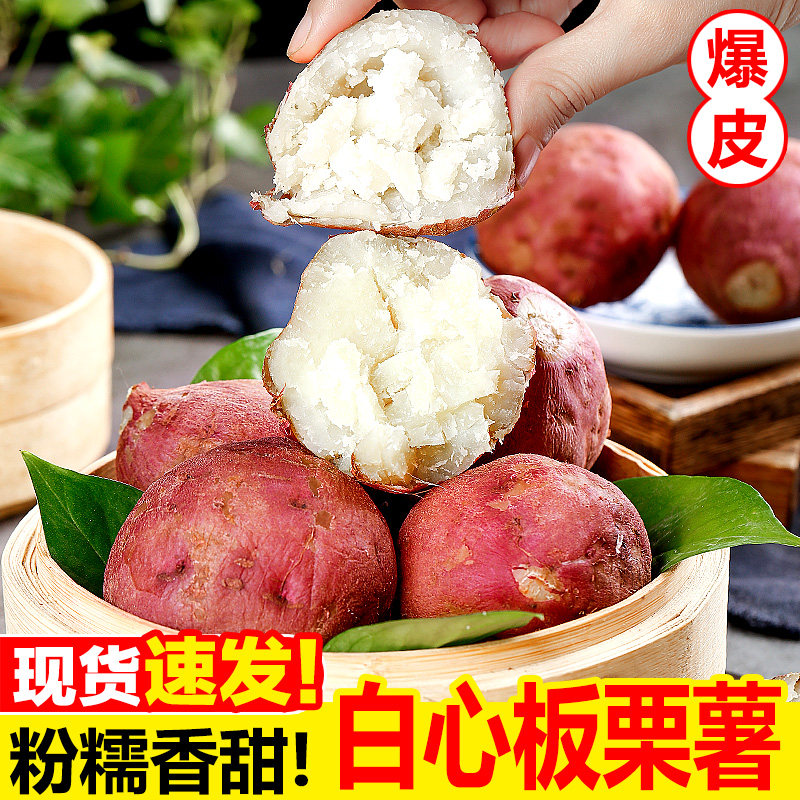 新鲜白心红薯现挖2023年板栗白薯山东红皮白瓤大地瓜沙地番薯粉甜