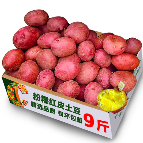 云南红皮黄心土豆9斤包邮新鲜小土豆农家蔬菜洋芋自种马铃薯批发