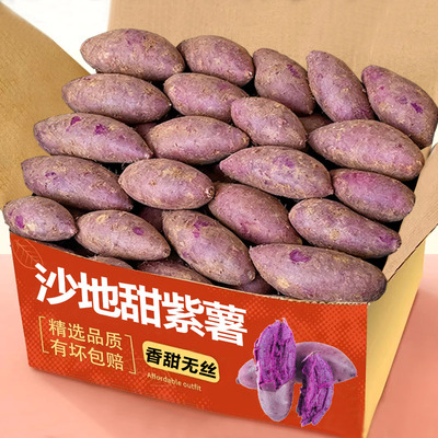 新鲜沙地紫薯板栗红薯番薯地瓜蜜薯糖心现挖山芋烟薯香薯蔬菜农家