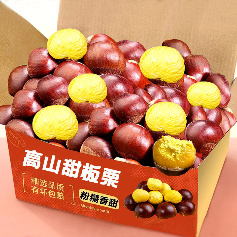 新鲜生板栗2025大板栗现摘生栗丹东东北甜板栗5斤大果栗子非锥栗