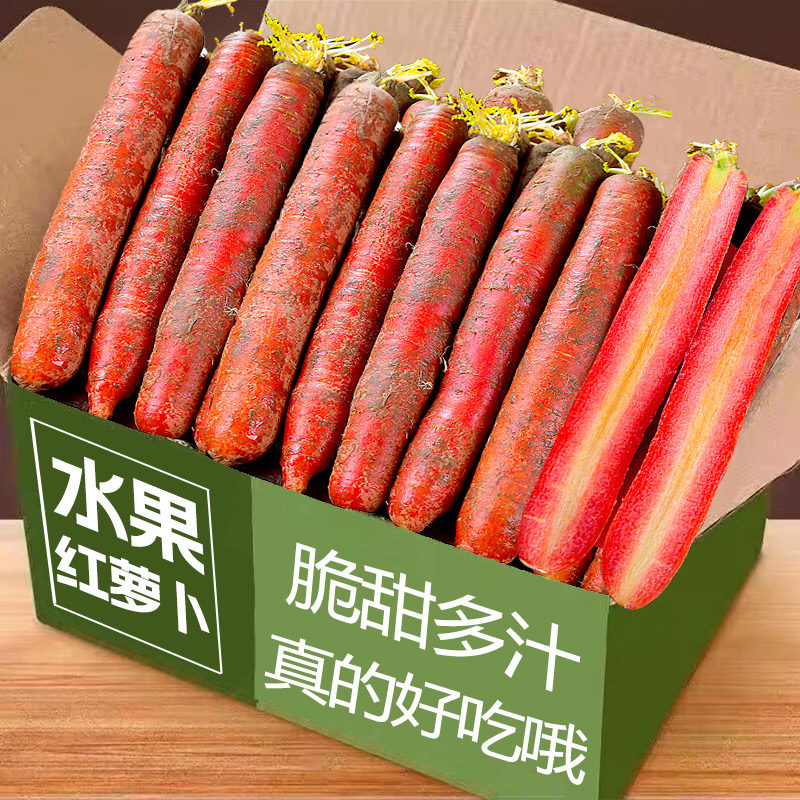现挖胡萝卜5斤即食带泥新鲜蔬菜产地农家自种应季水果胡萝卜新鲜