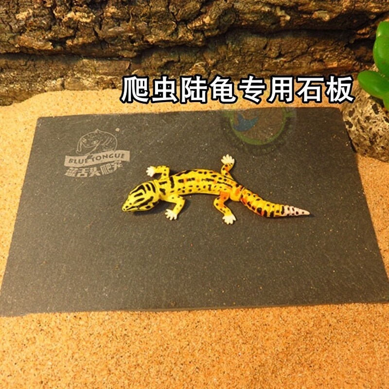天然爬虫陆龟石板磨指甲石头岩板
