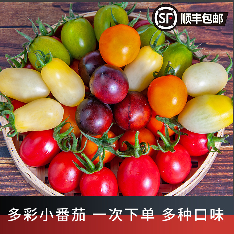 发顺丰新鲜多色混装小番茄青口蜜夏日贝贝圣女果小柿子花青子奶白