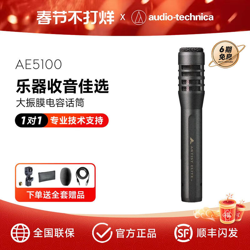 AudioTechnica/铁三角 AE5100电容话筒吉他打击