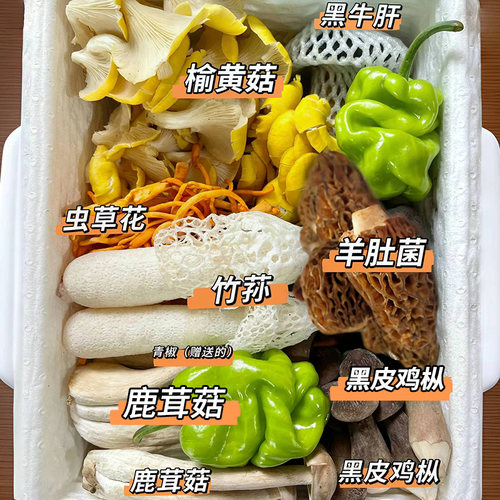 2026新鲜七彩菌菇组合1kg 菌子火锅漂亮饭菜 竹荪羊肚菌蘑菇煲汤