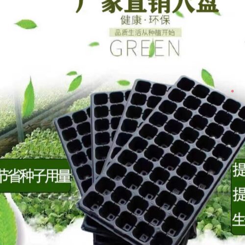 育苗盘穴盘塑料托盘玉米种子辣椒西瓜营养育苗杯瓜苗种植器