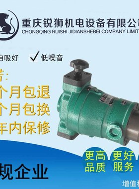 适用江北机械厂HiR离心机63/80/160SCY14-1BG轴向柱塞高压油泵