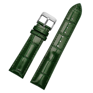 适配西铁城绿水鬼AW1598 AI7009 BN0193 NJ0129表带真牛皮22mm男