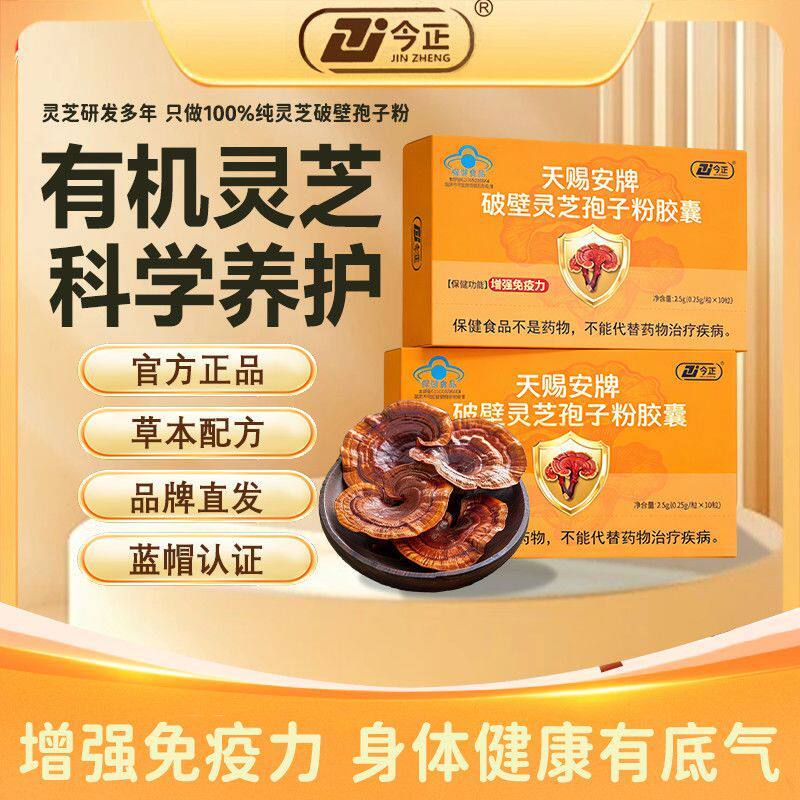 今正天赐安牌破壁灵芝孢子粉胶囊换季缓解成人男健康正品