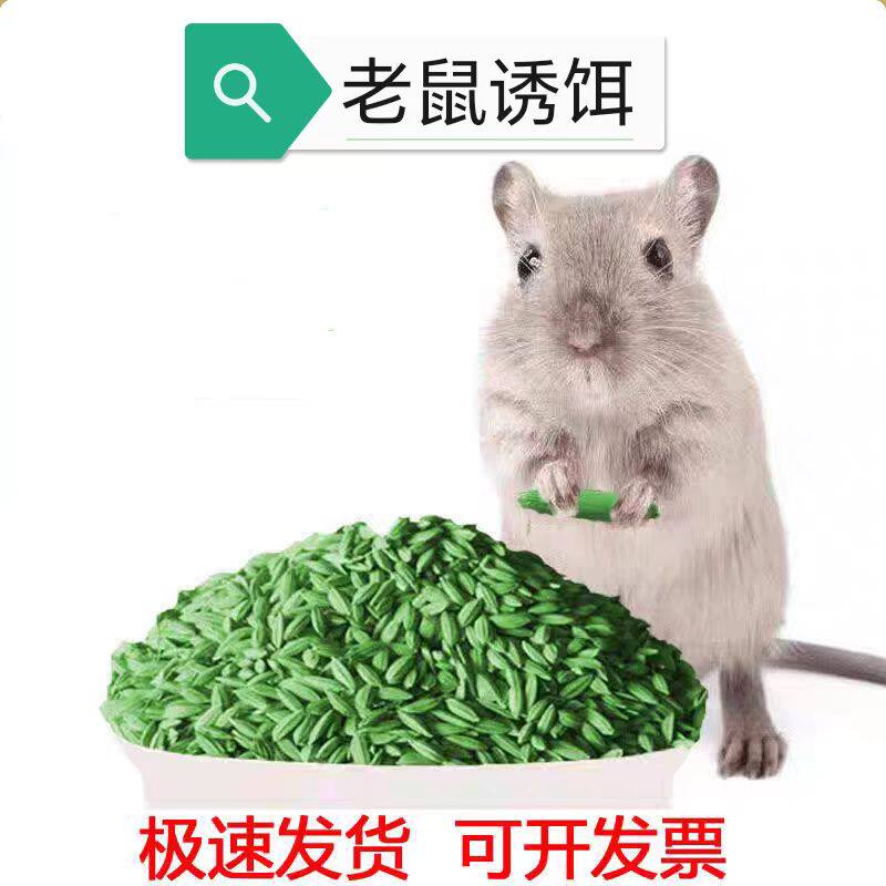 老鼠诱饵清香型稻谷饵家用老鼠饵料诱鼠神器鼠笼粘鼠板专用诱鼠饵