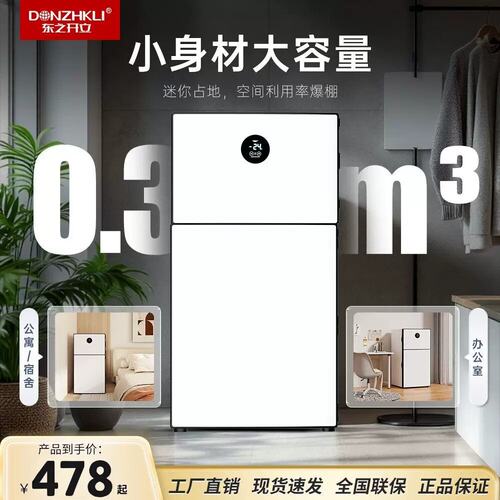 东之开立双开门智能小冰