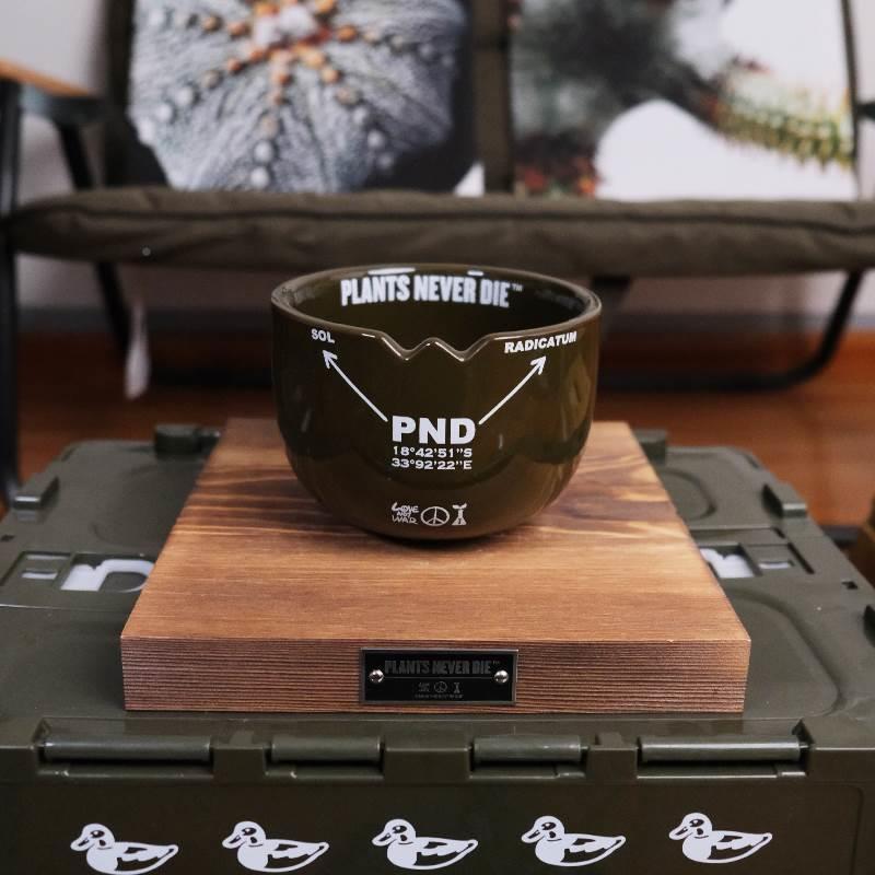 pd原n创军肉事风PEI块根植物花盆多向盆景潮流绿植欧式万陶瓷盆栽