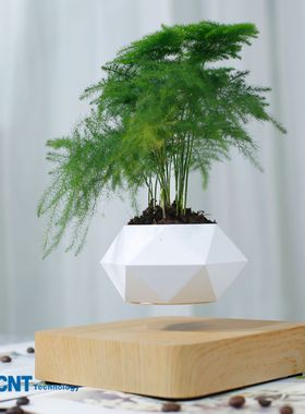 磁悬浮盆栽批发家居摆件工艺品送朋友同事上司创意植物生日礼物