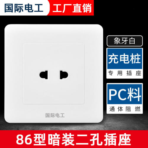 86型二孔充电桩专用充电插座