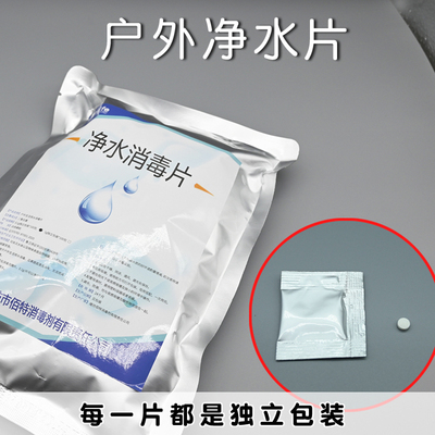 饮用水净水片户外净化水药片野外生存消毒片水井水消毒粉漂白食用