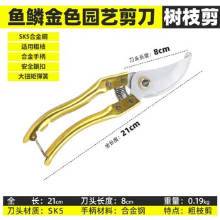 高硬度修枝剪果树桑花卉园艺剪子园林粗枝条家用修剪树枝专用剪刀