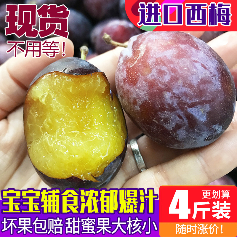 澳洲智利进口新鲜西梅鲜果新鲜水果李子当季时令孕妇水果西梅