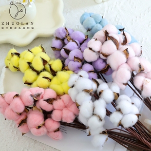 卓兰优惠10支装 饰插花华艺配件 天然带杆棉花干花诞花束diy材料装