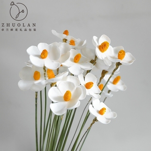 卓兰EVA紫罗兰干花仿真花五瓣花永生花花艺包装diy配饰插花装饰品