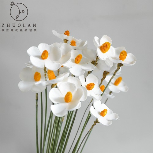 卓兰EVA紫罗兰干花仿真花五瓣花永生花花艺包装diy配饰插花装饰品