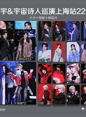 刘宇宇宙诗人巡演上海站周边珠光小卡照片海报吧唧自印应援全套