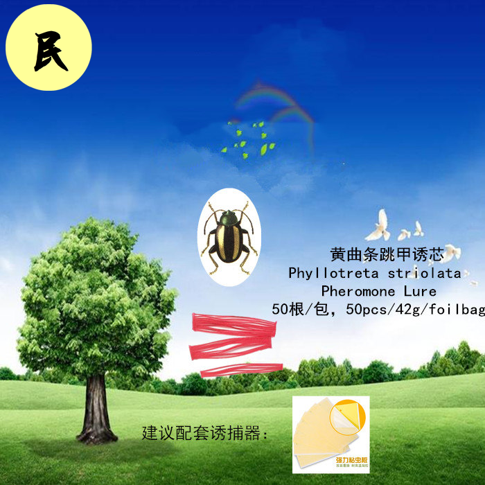 黄曲条跳甲信息素诱芯,性诱剂,昆虫引诱剂;包邮