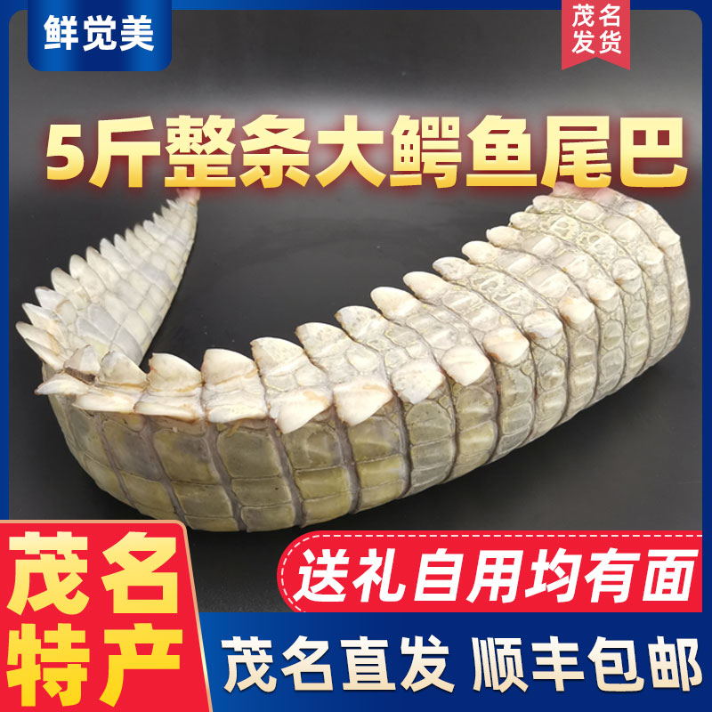 5斤整條鱷魚尾巴 新鮮鱷魚肉整只活魚鱷魚尾肉宰殺茂名特產(chǎn)批發(fā)中