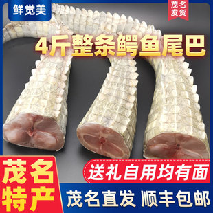 4斤整条新鲜鳄鱼尾巴 礼品级新鲜鳄鱼肉尾巴肉整条养殖大鳄鱼现杀