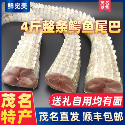 4斤整条鳄鱼尾巴茂名特产包顺丰