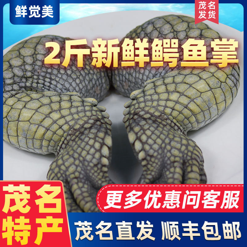 2斤鳄鱼掌腿肉顺丰包邮茂名直发