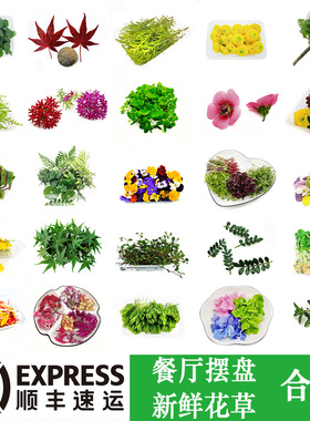 新鲜摆盘花草三色堇清香木黄金柳芽千叶兰日料酒店烘焙蛋糕装饰