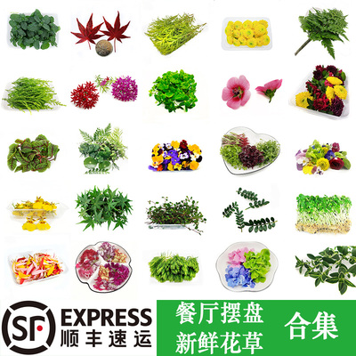 酒店餐厅蛋糕饮品摆盘新鲜花草