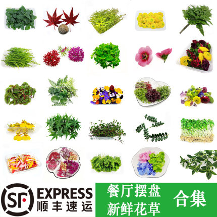 新鲜摆盘花草三色堇清香木黄金柳芽千叶兰日料酒店烘焙蛋糕装饰