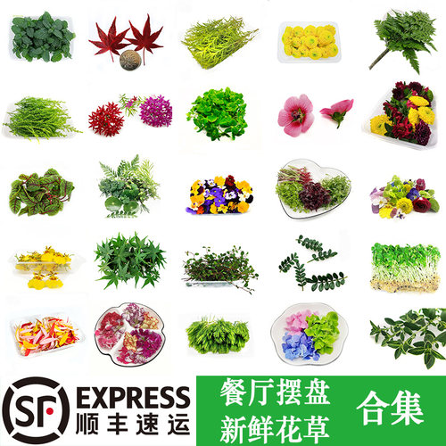 酒店餐厅蛋糕饮品摆盘新鲜花草