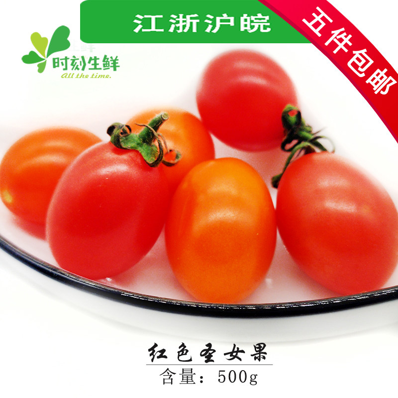 新鲜红色小番茄圣女果
