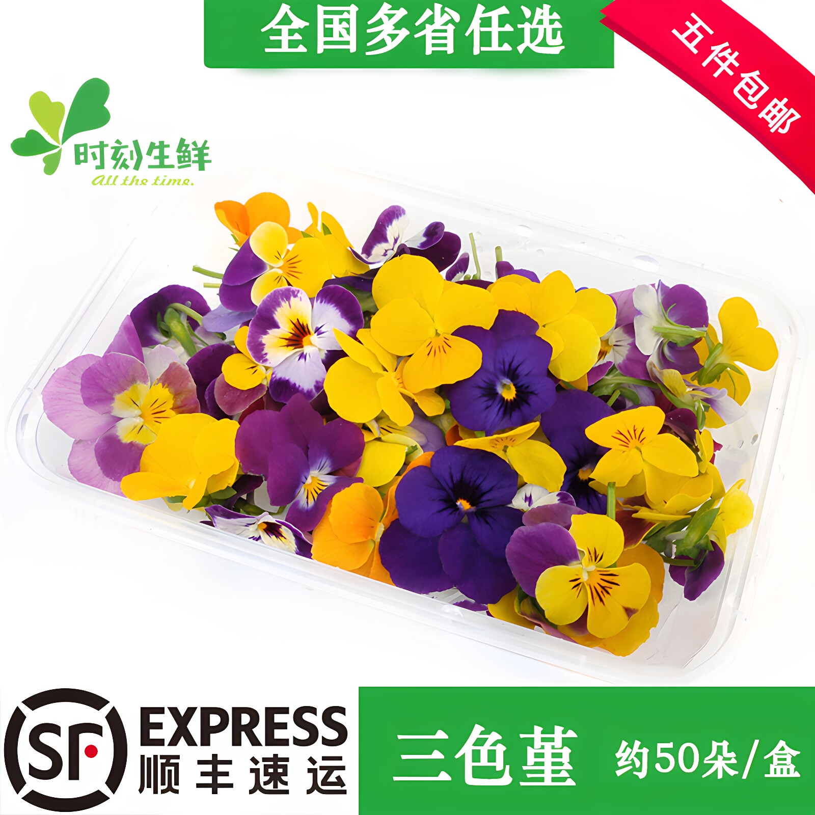 新鲜花草三色堇清香木黄金柳芽