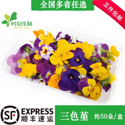 新鲜三色堇 清香木 黄金柳芽千叶兰薄荷头芒叶混合花酒店摆盘花草